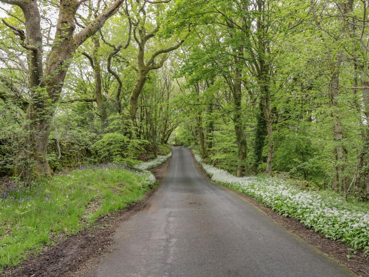 Danes Court Villa Bowland Bridge Buitenkant foto